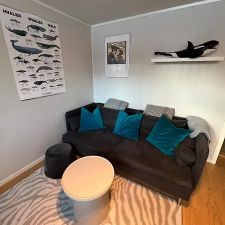 Welcome To The With The Orange Door Tromsø