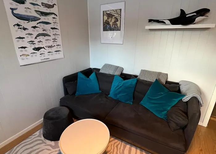 Welcome To The With The Orange Door Tromsø